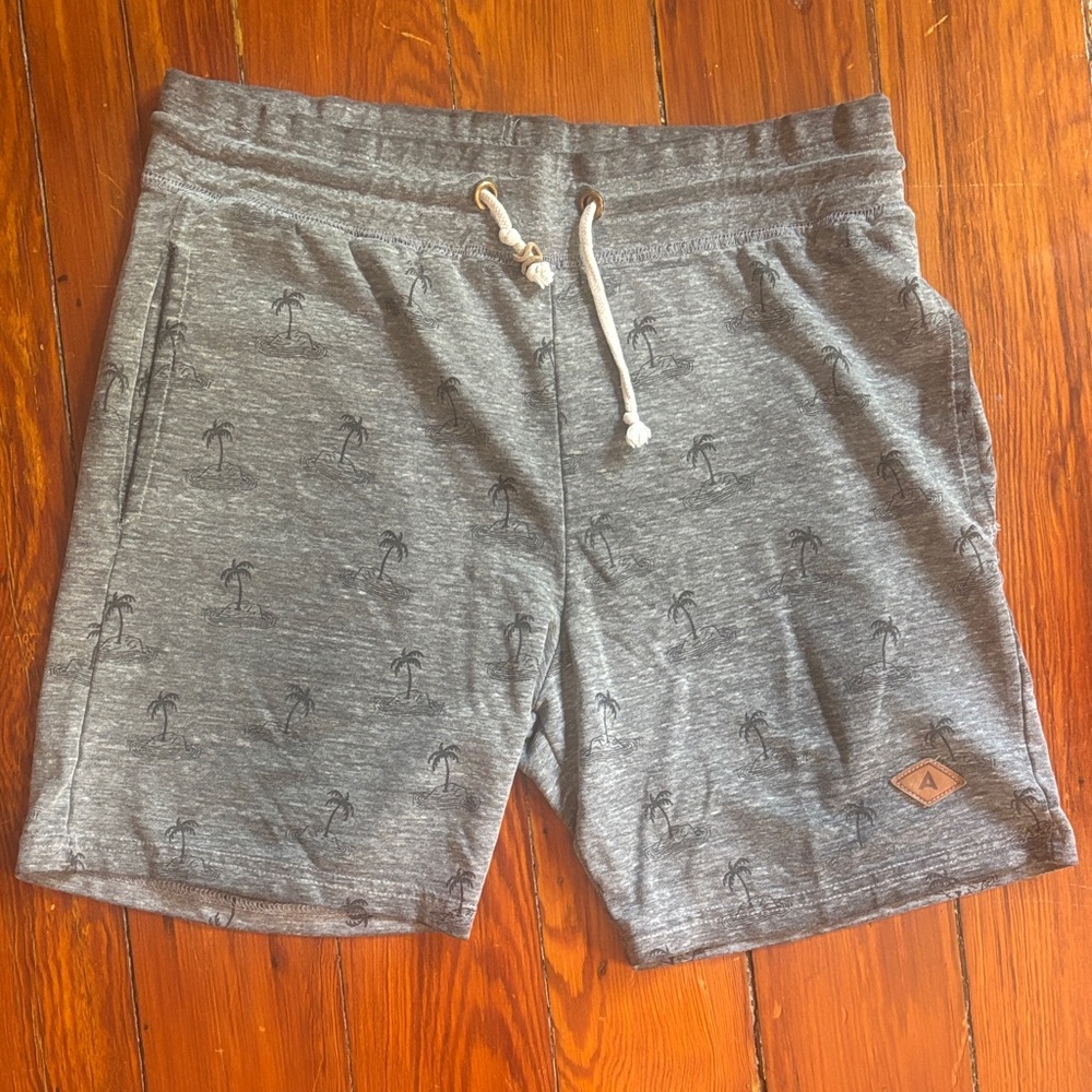 Altru Apparel Men’s size small grey shorts